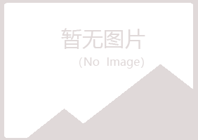 日照山柏会计有限公司